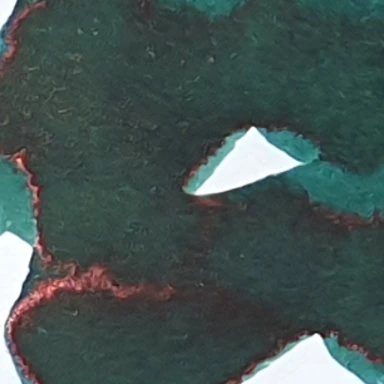 Encre d'écriture Dominant Industry | Forest