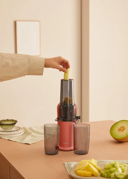 JUICER SLOW MINI - Extracteur de jus lent 150W