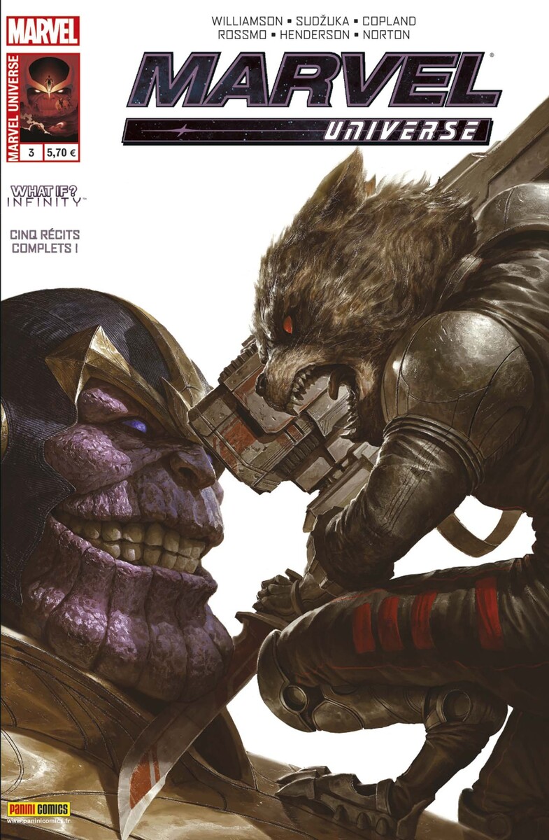 Marvel Universe #3 : What If? Infinity