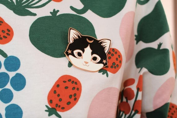 Pin&#39;s chat de la lune
