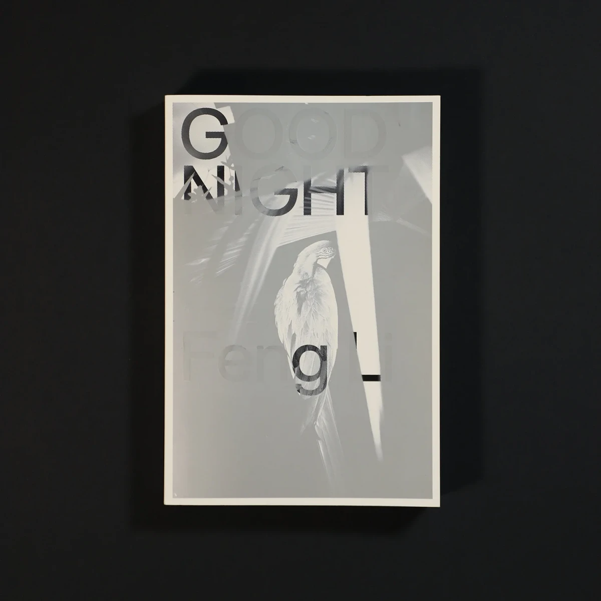 GOOD NIGHT - Feng Li — L'INAPERÇU